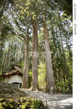 光前寺三本杉と経蔵 102333219
