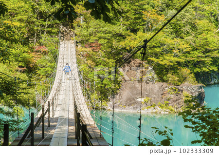 寸又峡7433 寸又峡7433 102333309