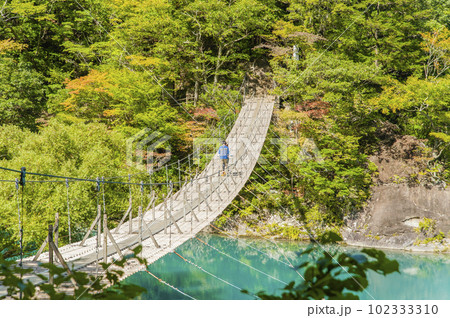 寸又峡7435 102333310