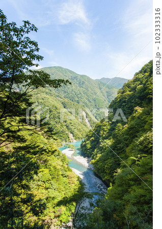 寸又峡7461 寸又峡7461 102333316