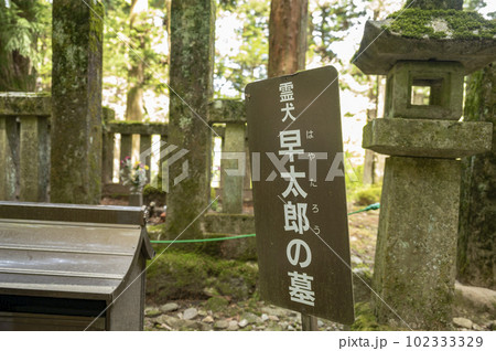 光前寺霊犬早太郎の墓 102333329