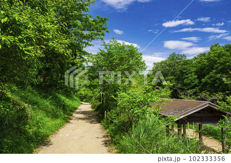 神奈川県横浜市戸塚区舞岡ふるさと公園の春（GW）　 102333356