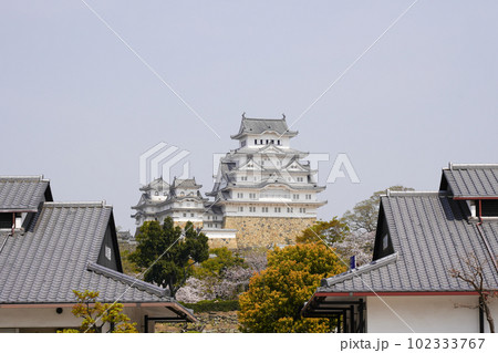 桜が満開の世界遺産・姫路城の春 102333767