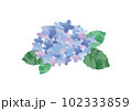 青と紫の紫陽花イラスト素材 102333859