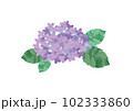 紫の紫陽花イラスト素材 102333860