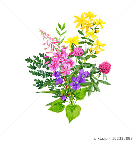 Wild flowers bouquet, fireweed clover and st johns wort 102333898
