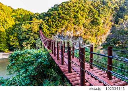 立神峡　火の国橋の紅葉　【熊本県八代郡氷川町】 102334143