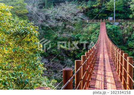 立神峡 火の国橋の紅葉 【熊本県八代郡氷川町】 立神峡 火の国橋の紅葉 【熊本県八代郡氷川町】 102334158