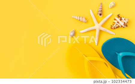 Summer time concept, top view with copy space of flip flops and sunglasses with starfish. 102334473