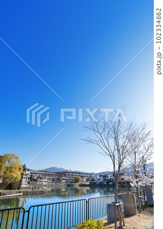 琵琶湖疏水　春の夷川ダム 102334862
