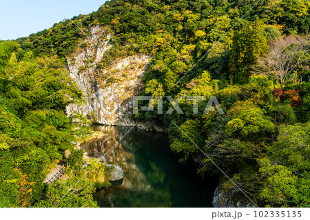 立神峡　龍神橋からの紅葉　【熊本県八代郡氷川町】 102335135
