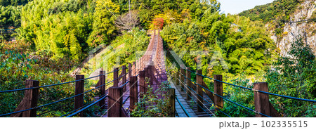 立神峡 龍神橋の紅葉 パノラマ 【熊本県八代郡氷川町】 立神峡 龍神橋の紅葉 パノラマ 【熊本県八代郡氷川町】 102335515