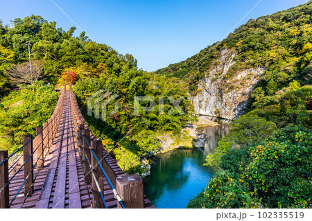 立神峡　龍神橋の紅葉　【熊本県八代郡氷川町】 102335519