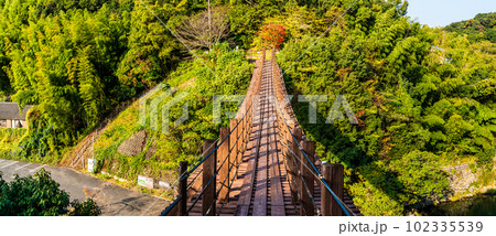 立神峡　龍神橋の紅葉　パノラマ　【熊本県八代郡氷川町】 102335539