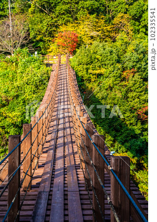 立神峡　龍神橋の紅葉　【熊本県八代郡氷川町】 102335541