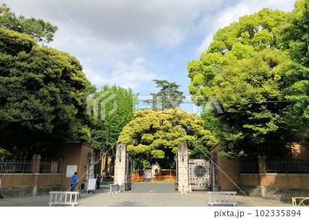 溢れる緑・東大農学部・国道17号【東京都文京区】 102335894