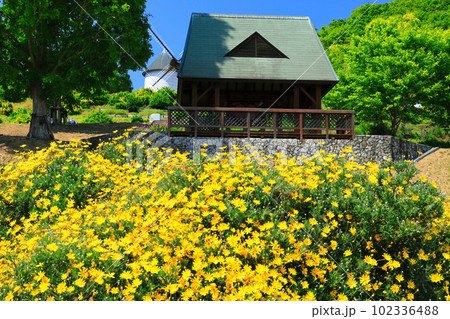 【徳島県】晴天のあすたむらんど徳島の風車の丘 【徳島県】晴天のあすたむらんど徳島の風車の丘 102336488