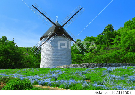 【徳島県】晴天のあすたむらんど徳島の風車の丘（ネモフィラ） 102336503