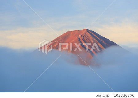 山梨河口湖_雲海から頭を出す赤富士の絶景 山梨河口湖_雲海から頭を出す赤富士の絶景 102336576