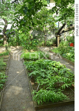 練馬区立 牧野記念庭園　園内 102336690