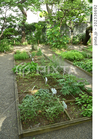 練馬区立 牧野記念庭園　園内 102336692