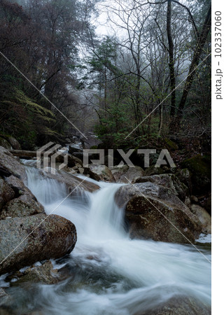 森の中を流れる清流　田立の滝 102337060
