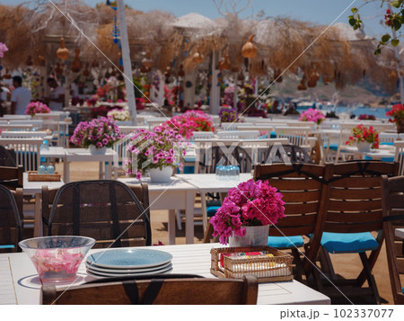 Bodrum travel to Turkey 102337077