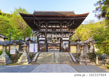 早朝の松尾大社　楼門（京都市西京区嵐山宮町） 102337804