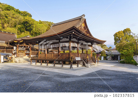 早朝の松尾大社　拝殿　山吹の咲く季節（京都市西京区嵐山宮町） 102337815