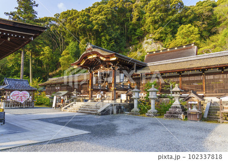 早朝の松尾大社　中門と回廊　本殿（京都市西京区嵐山宮町） 102337818