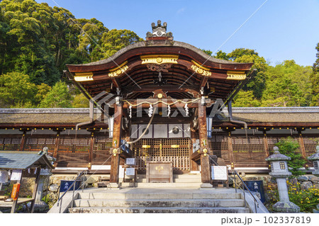 早朝の松尾大社 中門と回廊 本殿(京都市西京区嵐山宮町) 早朝の松尾大社 中門と回廊 本殿(京都市西京区嵐山宮町) 102337819