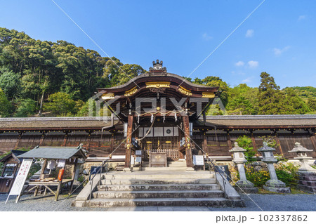 早朝の松尾大社　中門と回廊　本殿（京都市西京区嵐山宮町） 102337862