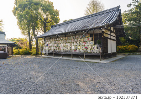 松尾大社 神輿庫を飾る酒樽(京都市西京区嵐山宮町) 松尾大社 神輿庫を飾る酒樽(京都市西京区嵐山宮町) 102337871