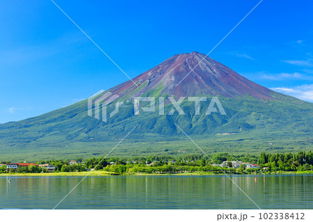 山梨河口湖_新緑の富士山の絶景 102338412