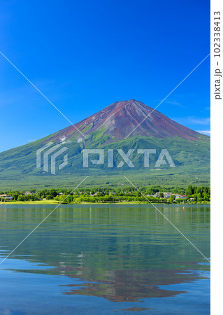 山梨河口湖_新緑の富士山の絶景 102338413