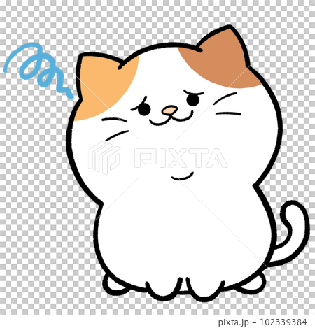 Troubled loose cute calico cat 102339384