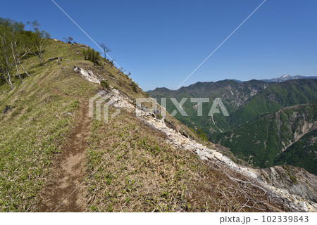 中倉山と沢入山、孤高のブナに出会う栃木県 中倉山と沢入山、孤高のブナに出会う栃木県 102339843