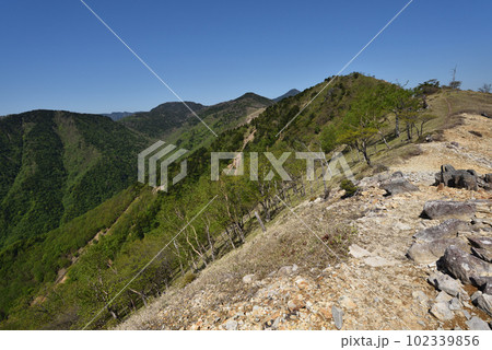 中倉山と沢入山、孤高のブナに出会う栃木県 102339856
