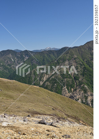 中倉山と沢入山、孤高のブナに出会う栃木県 102339857