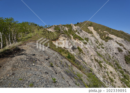 中倉山と沢入山、孤高のブナに出会う栃木県 中倉山と沢入山、孤高のブナに出会う栃木県 102339891