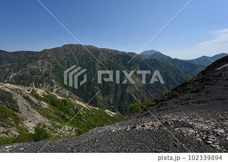 中倉山と沢入山、孤高のブナに出会う栃木県 中倉山と沢入山、孤高のブナに出会う栃木県 102339894