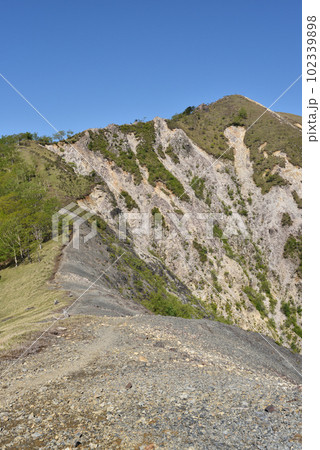中倉山と沢入山、孤高のブナに出会う栃木県 中倉山と沢入山、孤高のブナに出会う栃木県 102339898