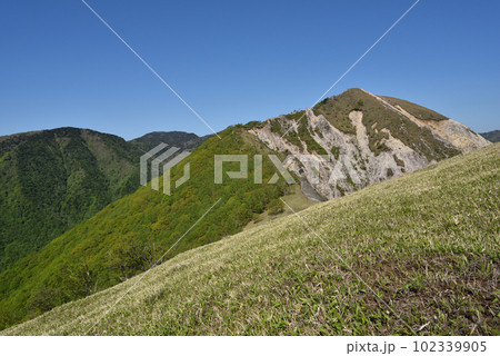 中倉山と沢入山、孤高のブナに出会う栃木県 中倉山と沢入山、孤高のブナに出会う栃木県 102339905