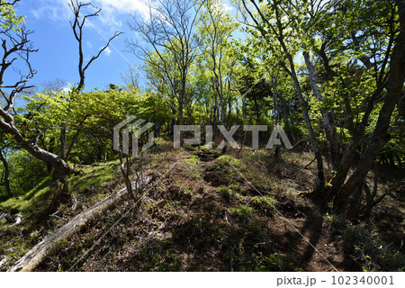 釈迦ヶ岳登山、八方ヶ原大間々台登山口より 釈迦ヶ岳登山、八方ヶ原大間々台登山口より 102340001