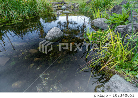江川の湧水 江川の湧水 102340053