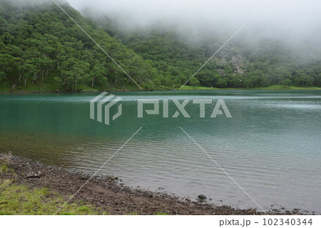 日光白根山登山、菅沼ルート、栃木県 102340344