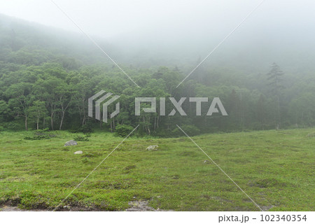 日光白根山登山、菅沼ルート、栃木県 日光白根山登山、菅沼ルート、栃木県 102340354