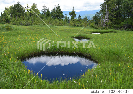 燧ケ岳登山、御池ルート、尾瀬、福島県 102340432