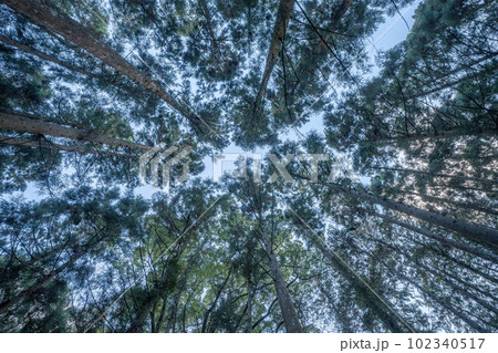 神宮寺 神宮寺 102340517