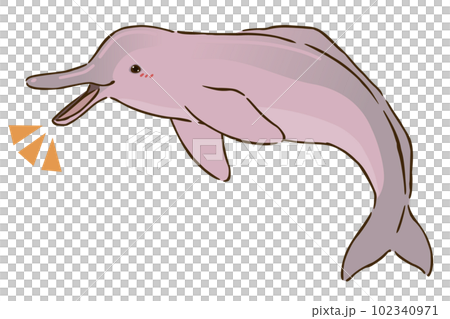 喜ぶアマゾンカワイルカ 102340971